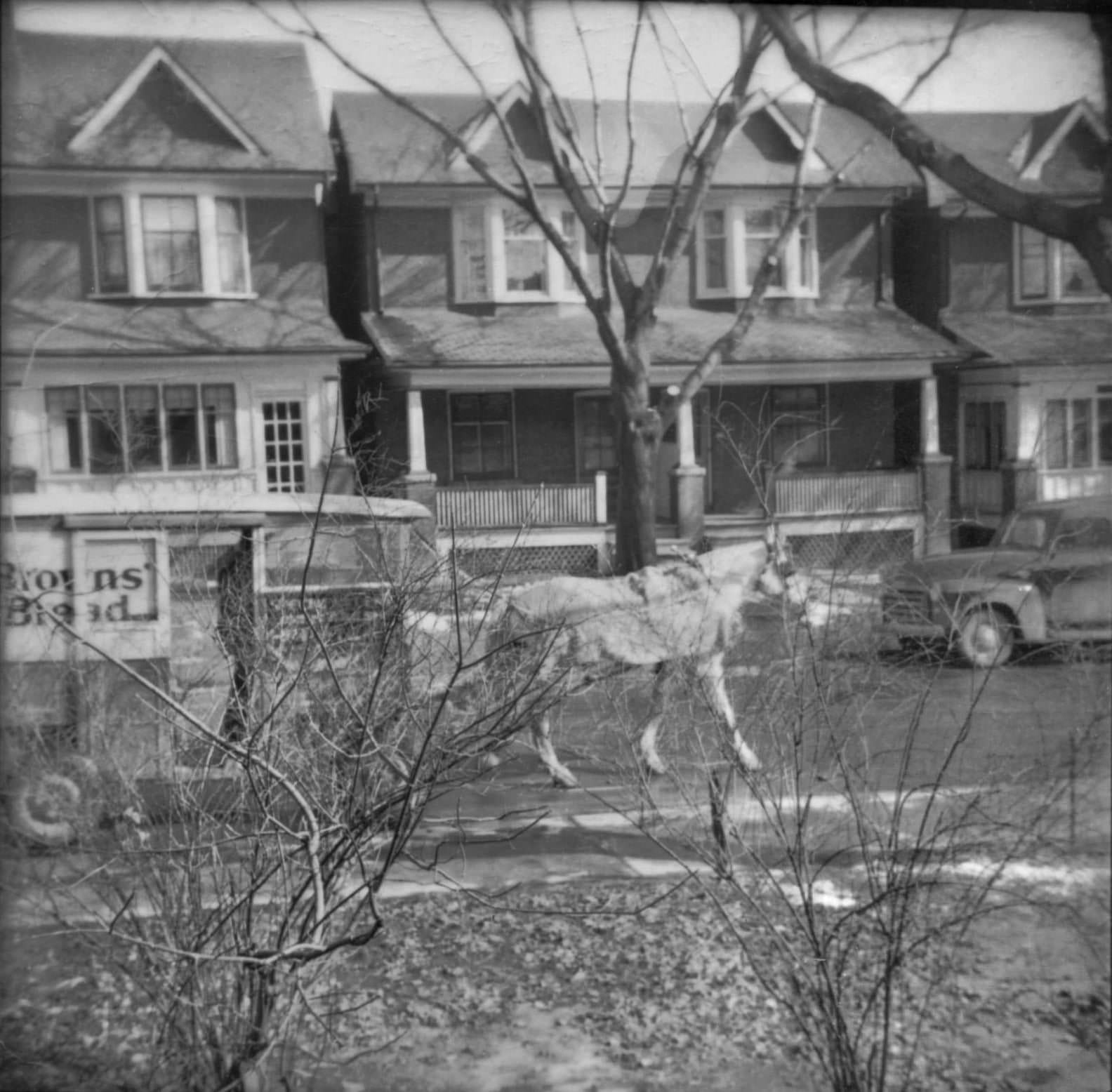 #82 Front porch on St. Clair Gardens, in the late 1940s.