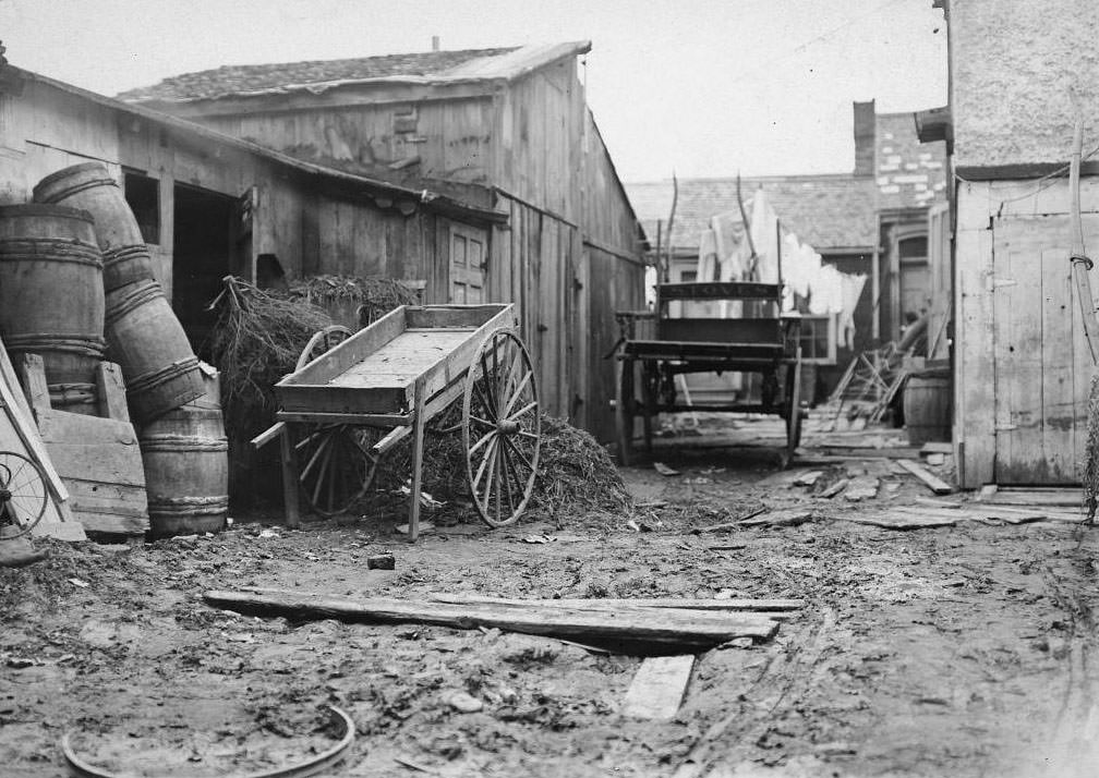 #53 Stable yard in “The Ward”, 1907.