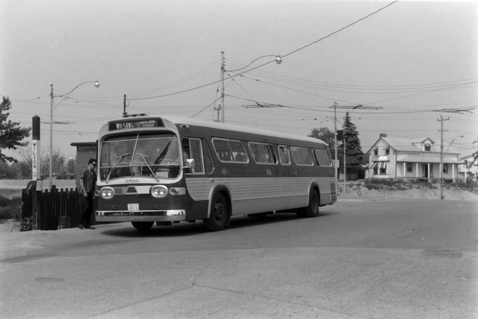 #135 Wilson bus at blondin loop weston rd. – Credit Leonard Jacks, 1966