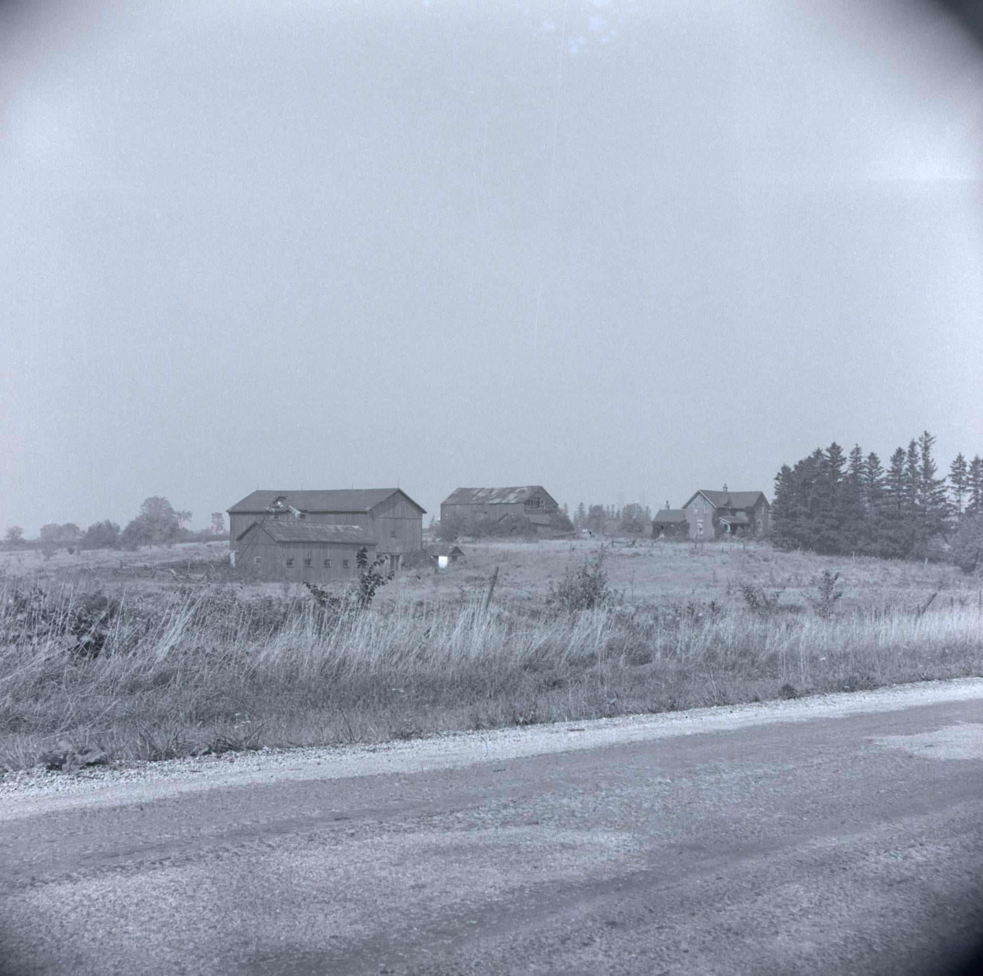 #57 Victoria Park Avenue, looking northwest to the farm of Arthur Hill, southwest corner of Victoria Park Avenue and Old Finch Avenue, 1955