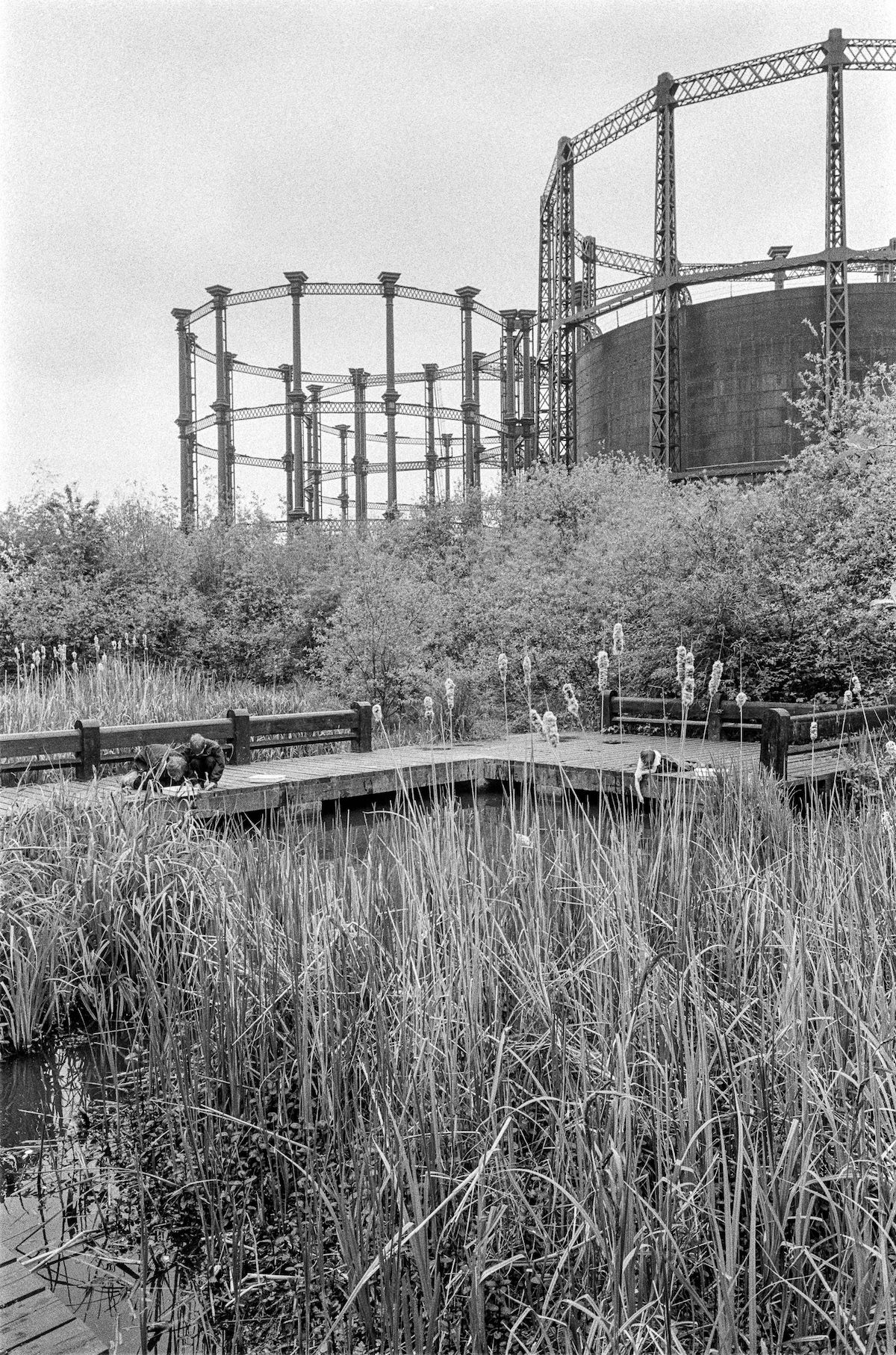 #3 Gasholders, Camley St Natural Park, 1991