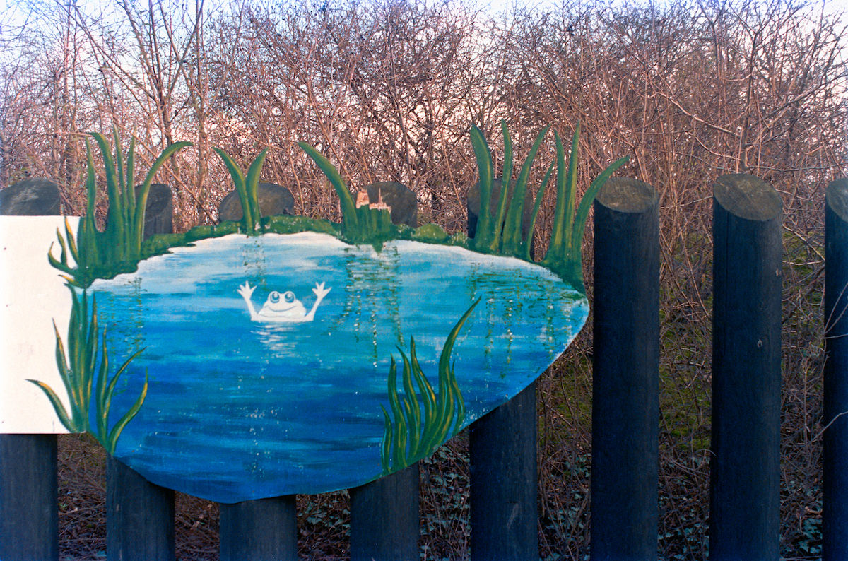 #52 Camley Street Natural Park, 1990