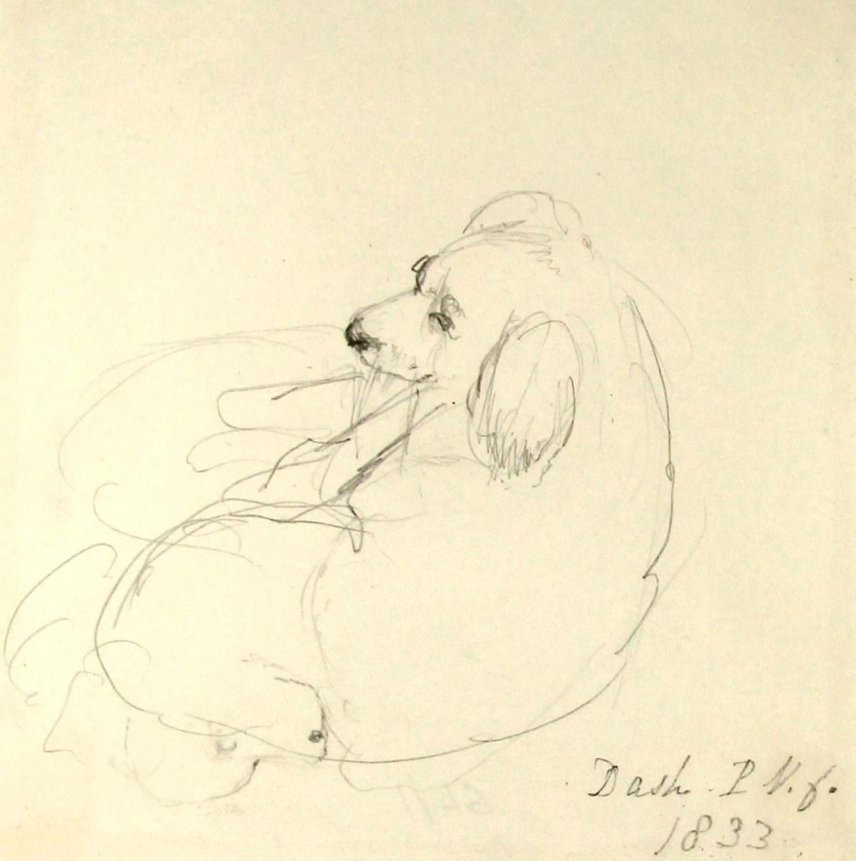#15 Pencil drawing of Princess Victoria’s favourite dog, by Princess Victoria.