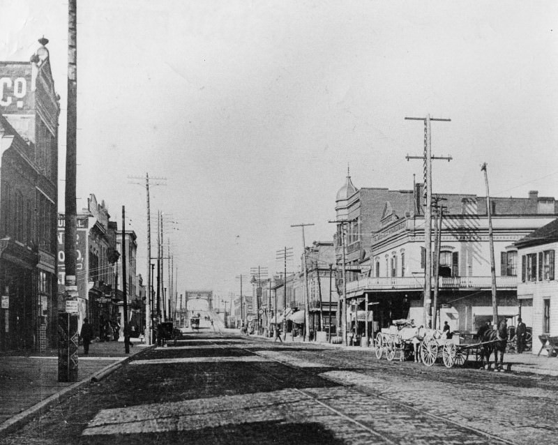 #49 View on Broadway- East St. Louis, 1890