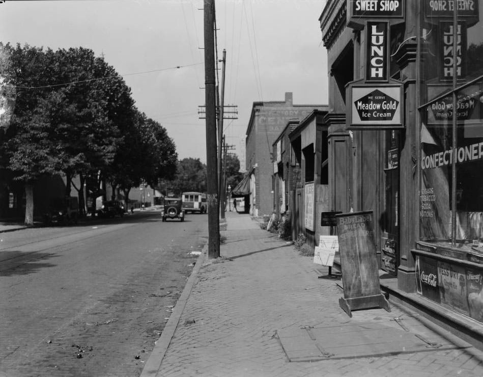 #107 Looking north down Michigan Ave. from in front of 7520 Michigan Ave. (at Steins Street) in the Patch neighborhood of South St. Louis, 1925