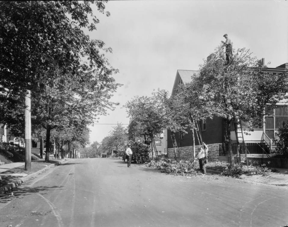 #59 Looking north on Arkansas Avenue from Magnolia in the Tower Grove East neighborhood, 1925