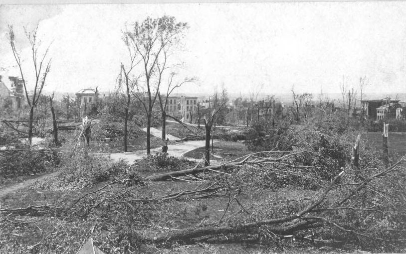 #33 One man stands among the destroyed trees of the park. The tornado did some of its worst damage in this neighborhood; the park did not recover for many decades.