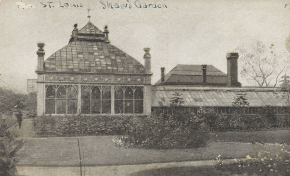 #134 Orchid house, Shaw’s Garden, St. Louis, 1910