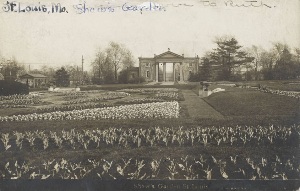 #161 Shaw’s Garden, Materna, St. Louis, 1915