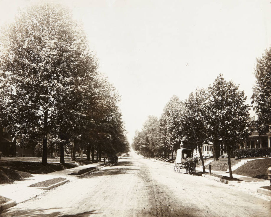#62 A horse pulls a carriage along the 5300 block of Clara Avenue, 1915