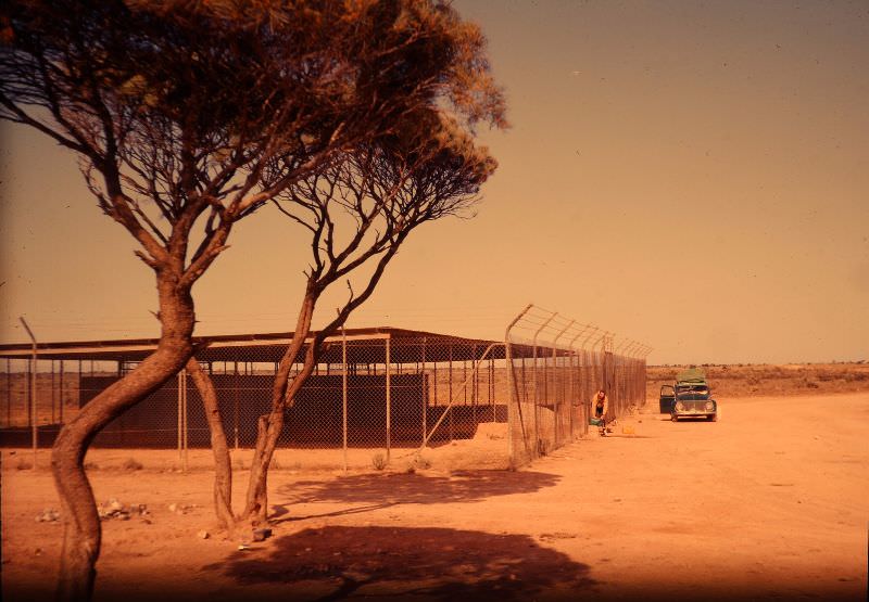 #32 Filling up water bottles near Gi-Gi on old Eyre Highway, Oct 1963