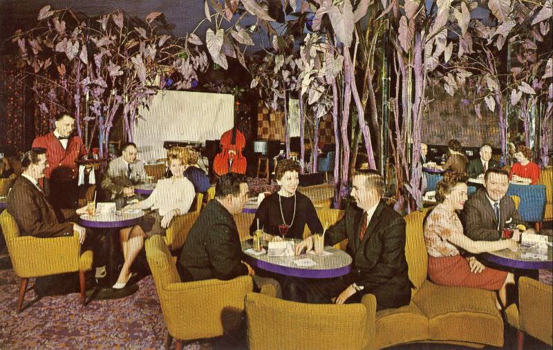 #32 Purple Tree Lounge, Manager Hotel, Rochester, New York