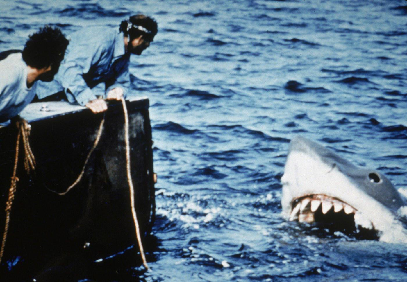 Richard Dreyfuss and Robert Shaw lean off the back of their boat, holding ropes as they watch the giant Great White shark emerge from the water in a still from the film, ‘Jaws,’ 1975