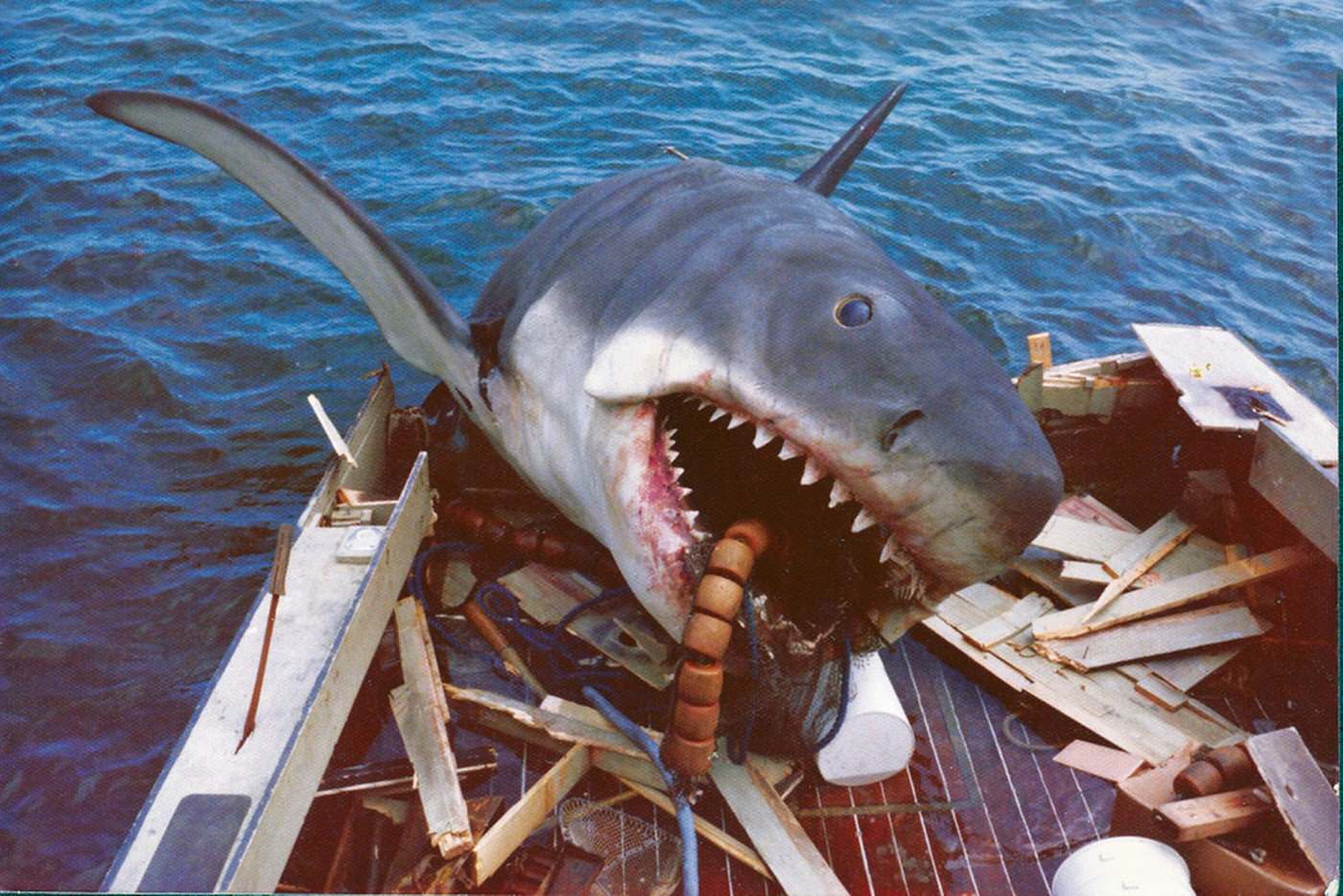 Behind the Scenes of Jaws: The Making of a Hollywood Classic Movies