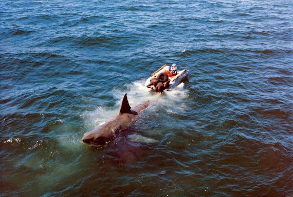 Behind the Scenes of Jaws: The Making of a Hollywood Classic Movies