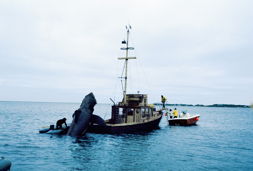 Behind the Scenes of Jaws: The Making of a Hollywood Classic Movies