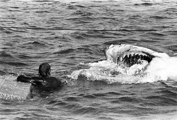 Behind the Scenes of Jaws: The Making of a Hollywood Classic Movies