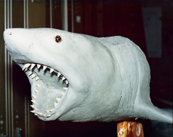 Behind the Scenes of Jaws: The Making of a Hollywood Classic Movies