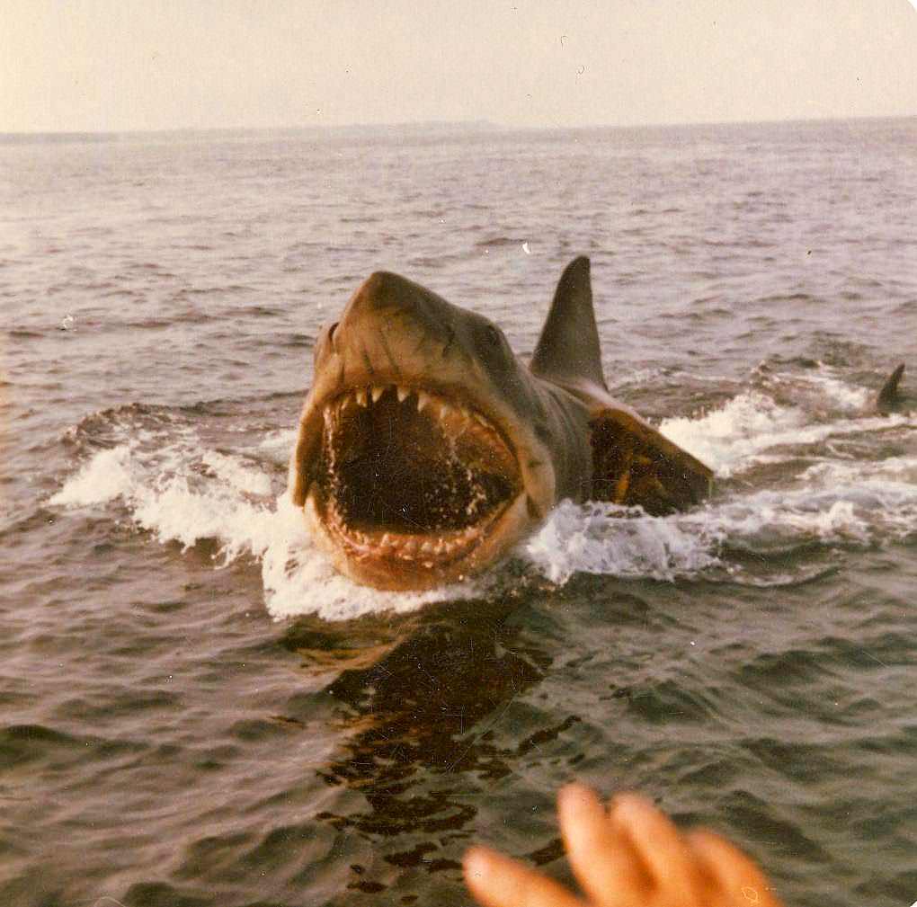Behind the Scenes of Jaws: The Making of a Hollywood Classic Movies