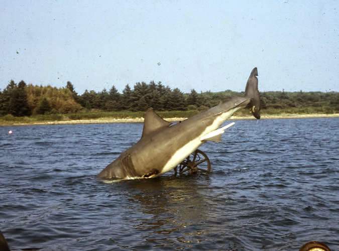 Behind the Scenes of Jaws: The Making of a Hollywood Classic Movies