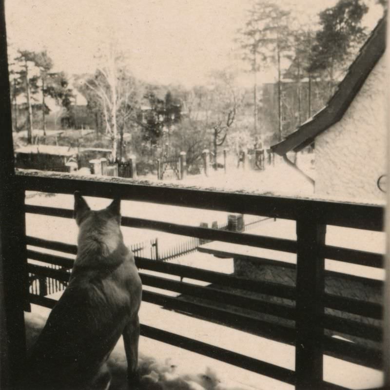 #31 View from Helga’s room, Berlin House, 6 Hermannstraße, Zehlendorf, Berlin, Germany, 1940s