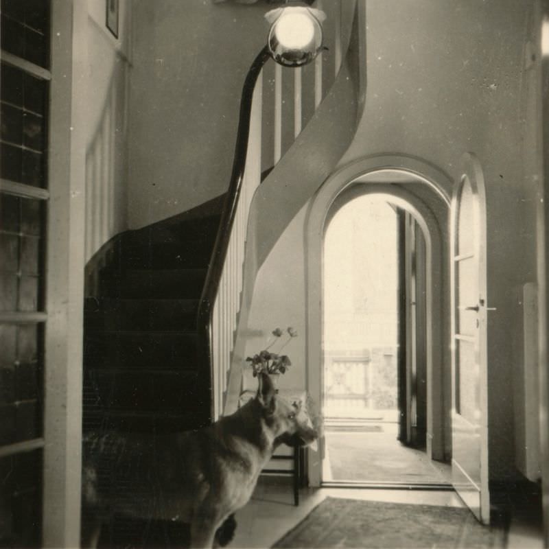#4 Dog at stairs, Helga’s Berlin House, 6 Hermannstraße, Zehlendorf, Berlin, Germany, 1940s