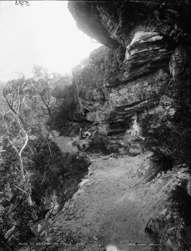 #23 Road to Wentworth Falls, New South Wales, 1900