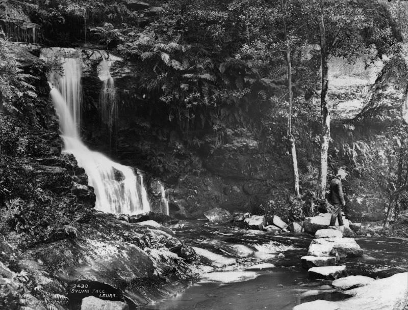 #25 Sylvia Falls, Leura, New South Wales, 1900