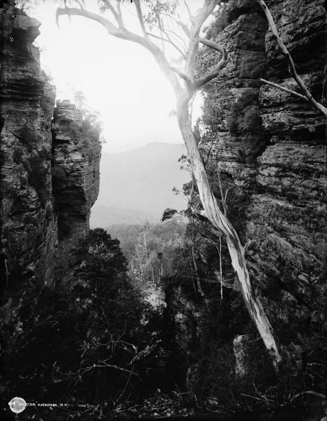 #27 The Glen, Katoomba, New South Wales, 1900