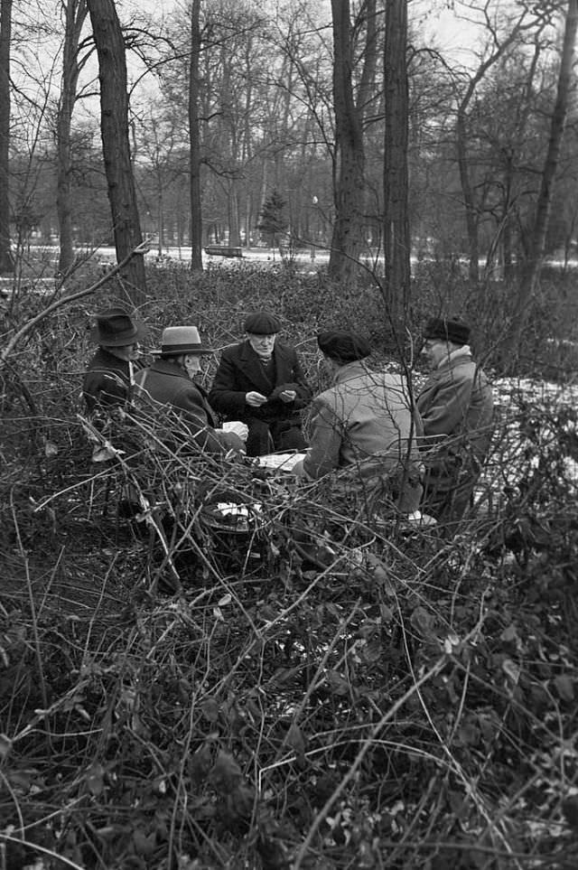 #12 A group of elderly men playing cards in the woods despite the cold.