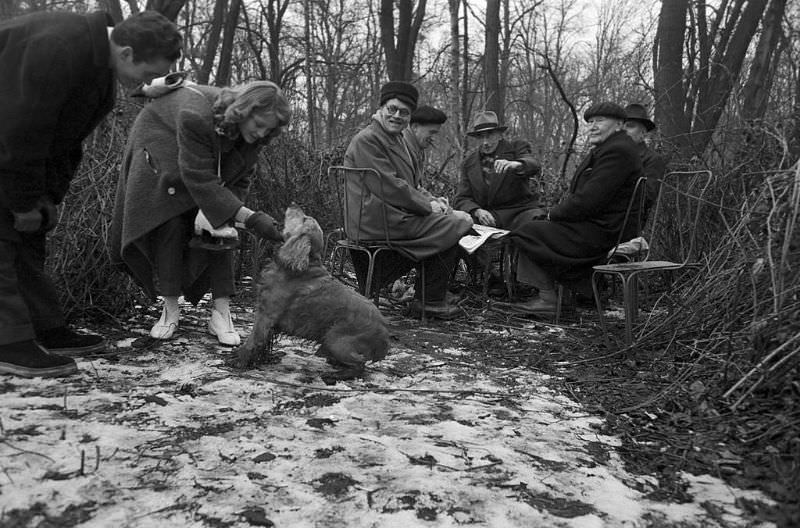 #13 A group of elderly men playing cards in the woods whilte a young couple stroking their dog.