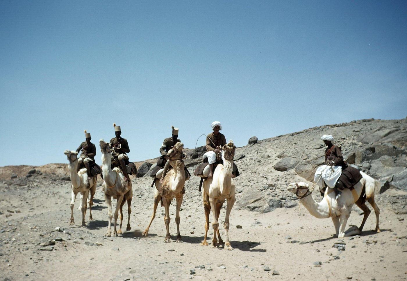#6 Egyptian Army soldiers ride their camels in the desert of Aswan, Egypt, 1948