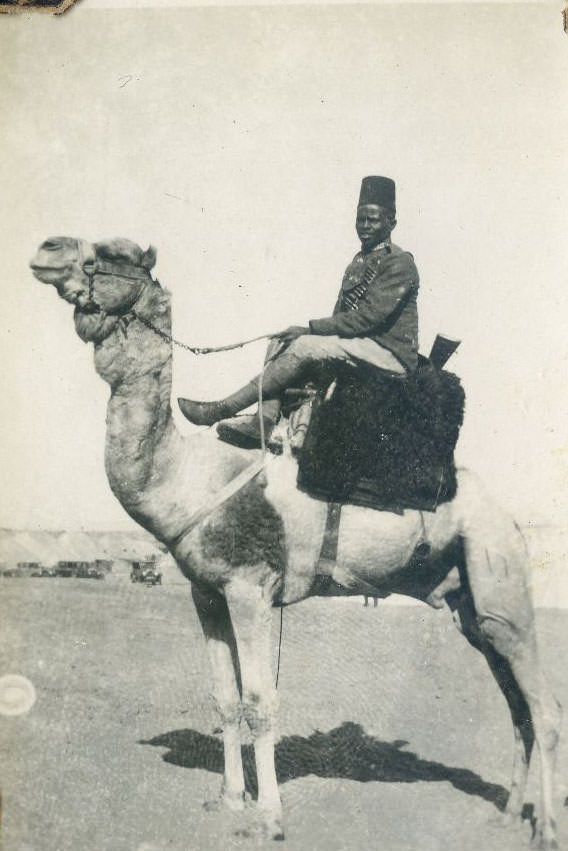 #37 Desert Patrol, Egypt