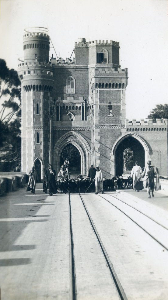 #40 Driving goats, Egypt