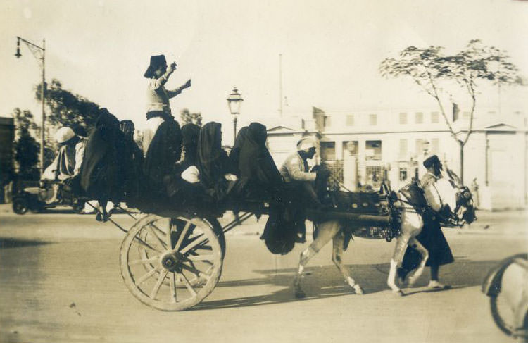 #44 Egyptian ladies seated in a wagon, accompanied by four men