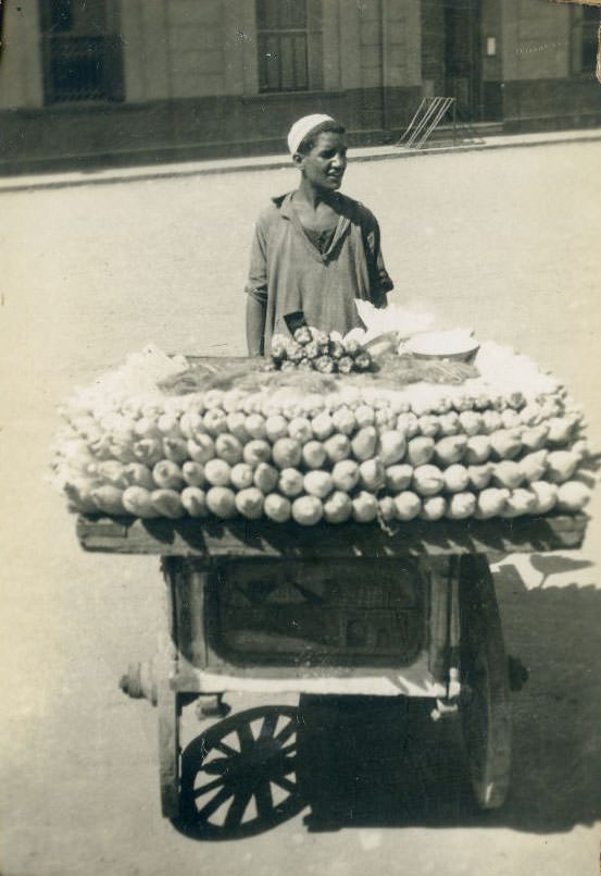 #73 Selling sweet corn, Egypt