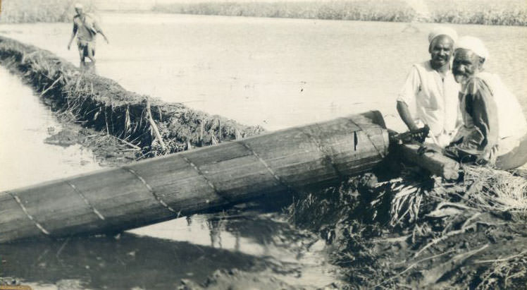 #82 Water syphon, Egypt