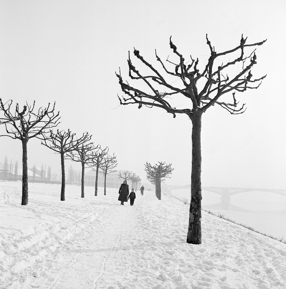#183 Along the Banks of the Main, Germany, 1955