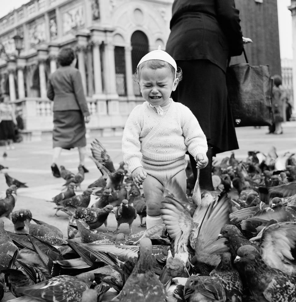 #196 Pigeon Fright, Venice, 1956