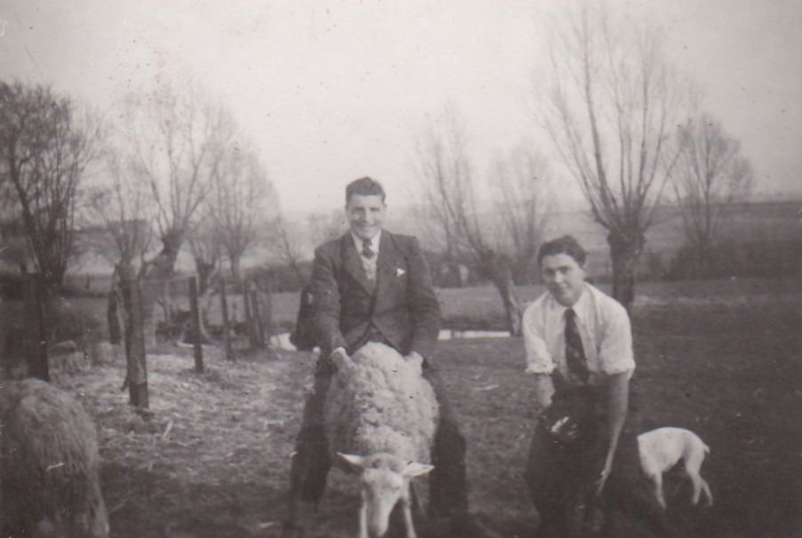 Uncovering the Dark Side of the Countryside: A Photographic Exploration of Farm Noir Weird