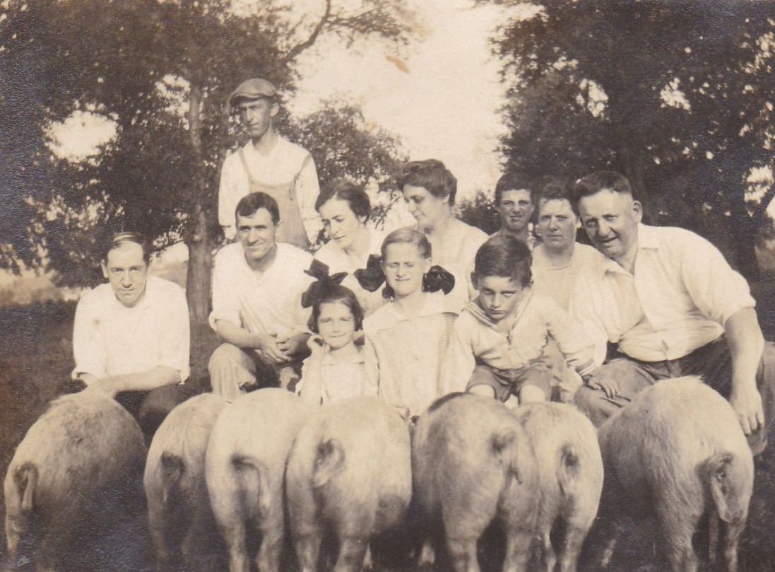 Uncovering the Dark Side of the Countryside: A Photographic Exploration of Farm Noir Weird