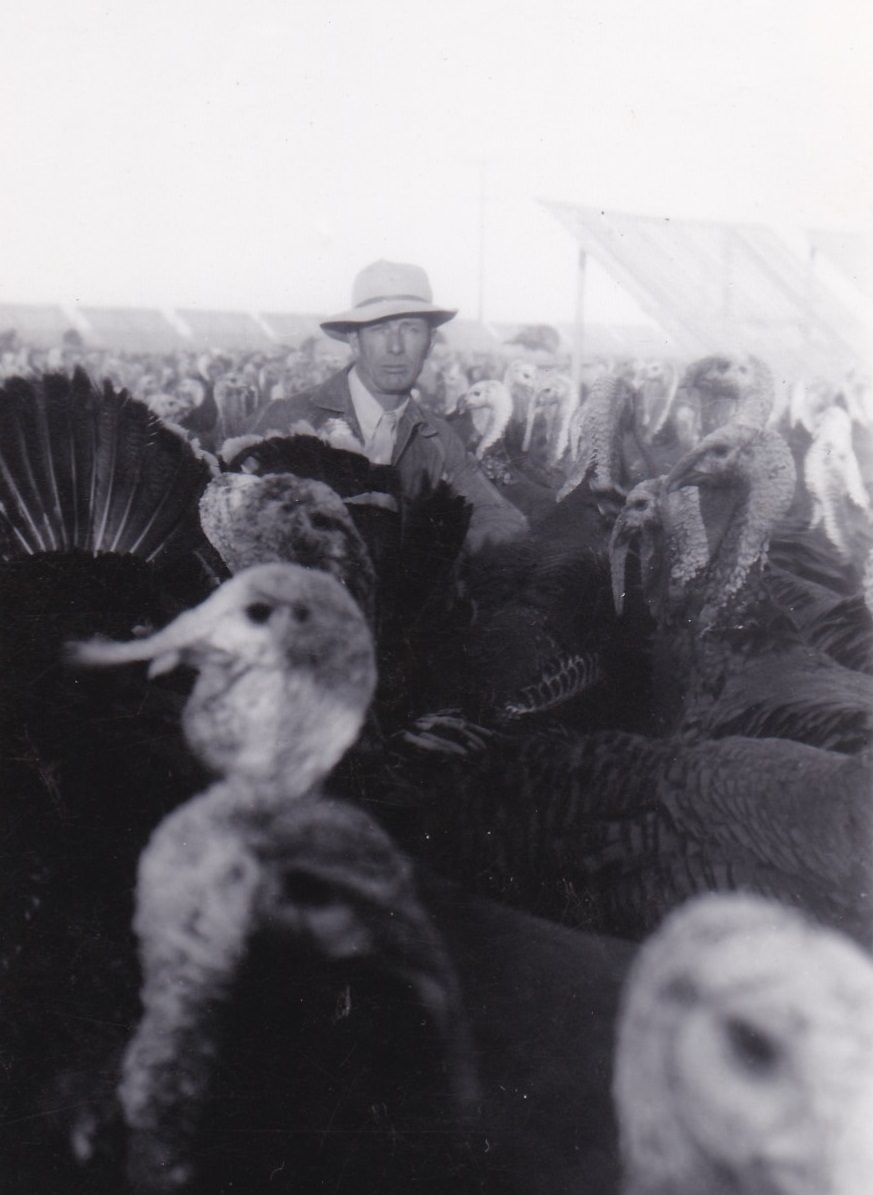 Uncovering the Dark Side of the Countryside: A Photographic Exploration of Farm Noir Weird