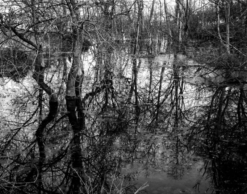 #24 Somewhere in France, 1989