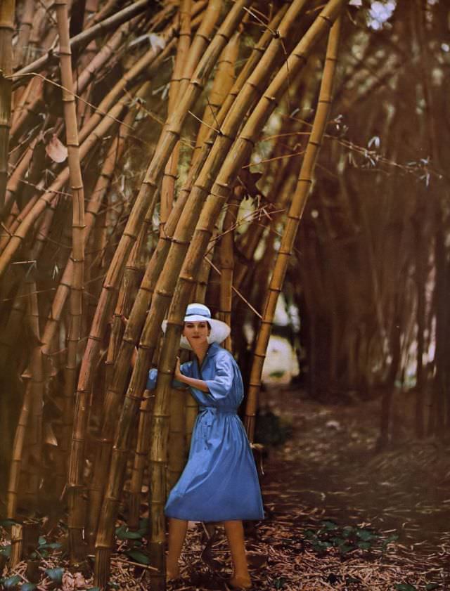 #18 Carmen Dell’Orefice in blue Supima cotton shirtwaist dress by David Crystal, photo by Gleb Derujinsky, Hawaii, Harper’s Bazaar, January 1959