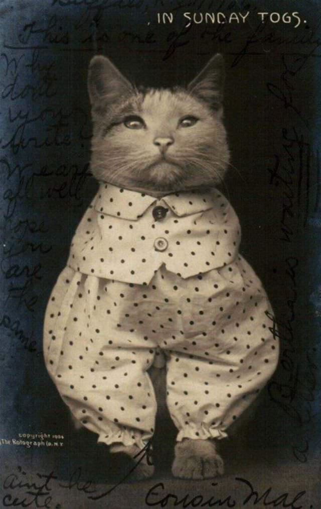 #10 In Sunday togs, 1906.