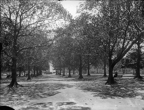 The Heart of Sydney: A Look at Hyde Park in the Early 1900s Places &; People