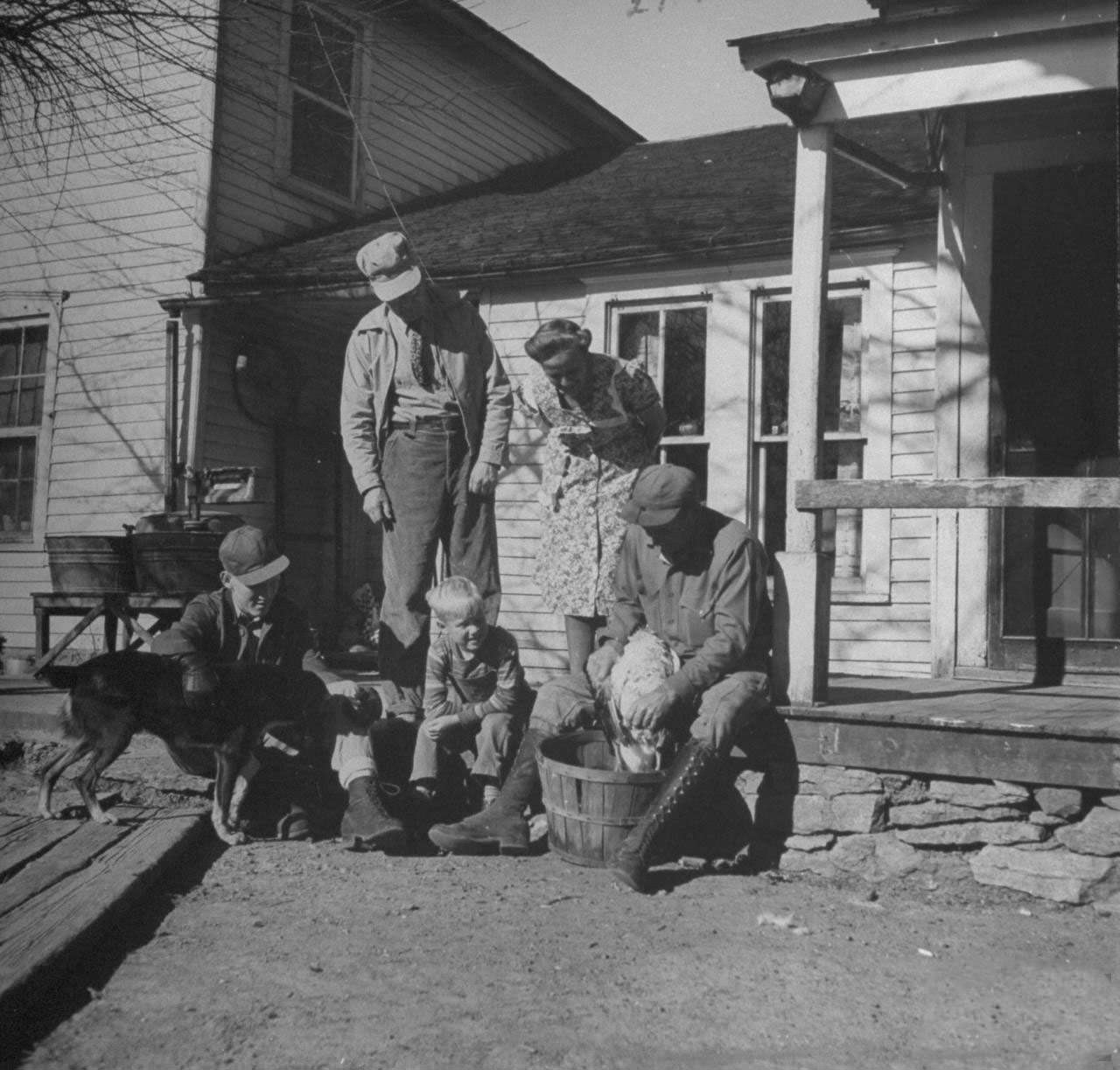 #7 Family members watching James F. Irwin (R) plucking a goose for an early Christmas dinner to celebrate safe return of sons and sons-in-law from WW II.
