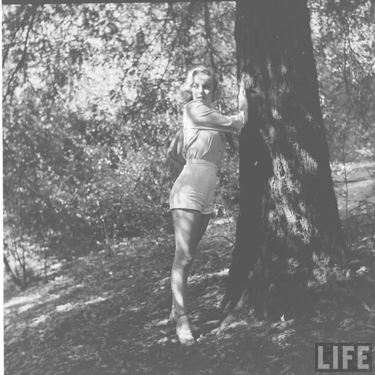 The Girl Next Door: Iconic Photographs of Marilyn Monroe Hiking in the Woods, 1950 Celebrities