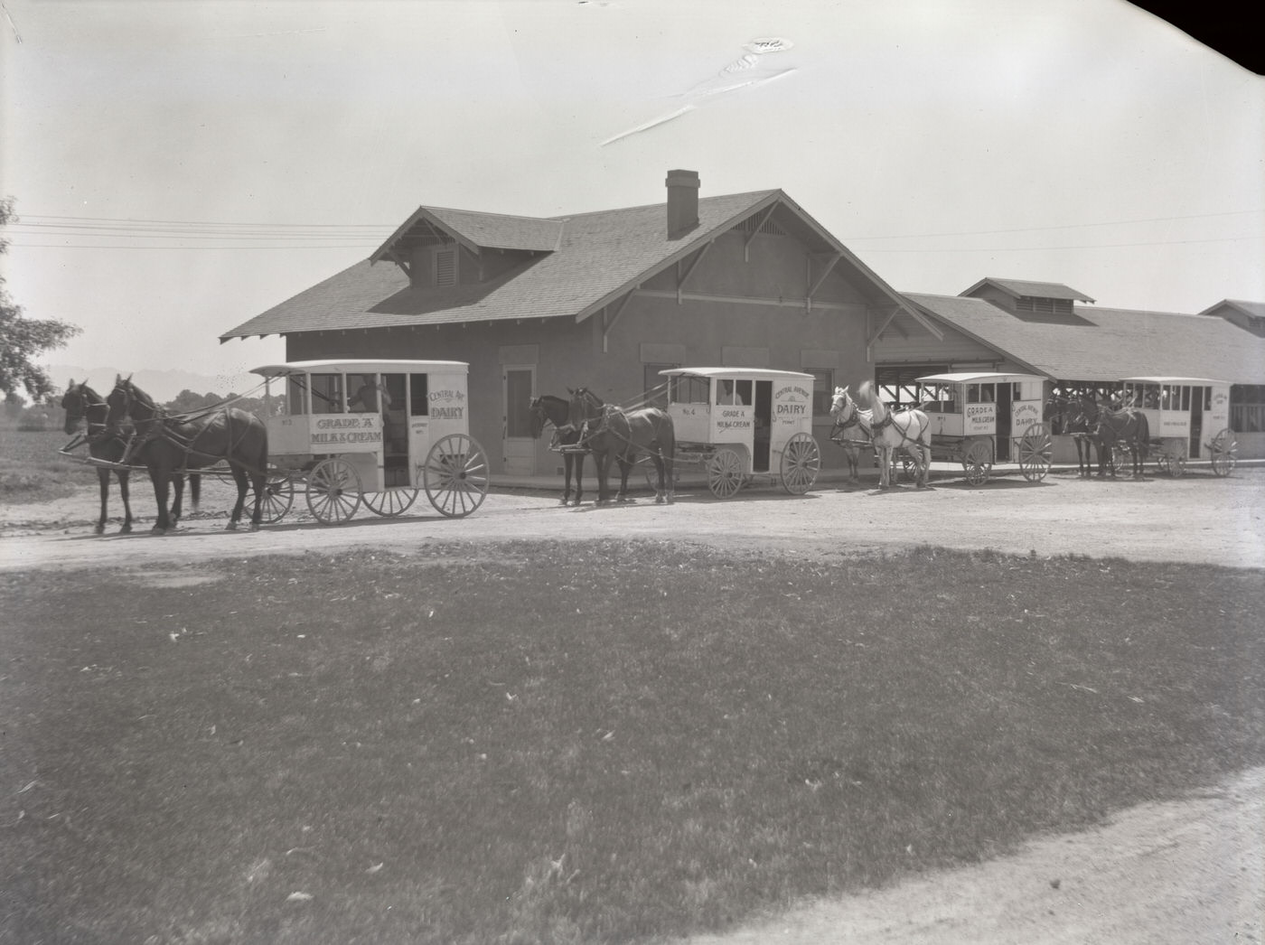 #174 Milk Wagons Lined at Central Avenue Dairy, 1930s