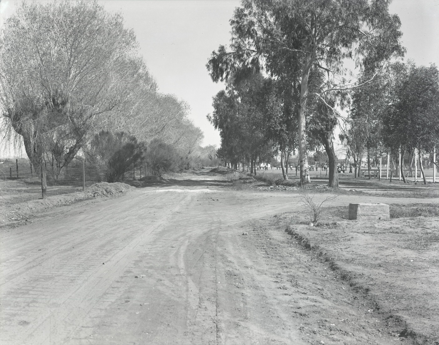 #27 Orangewood Avenue. Shows Glendale Grammar on the right and Manistee Ranch on the left, 1930s